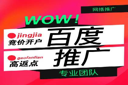 SEM运营公司案例研究：优化广告投放策略